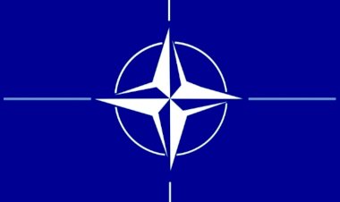 Asıl tuzak, NATO'yu çağırmak değil mi?