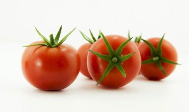 Türk domatesi Rusya vizesini kaptı