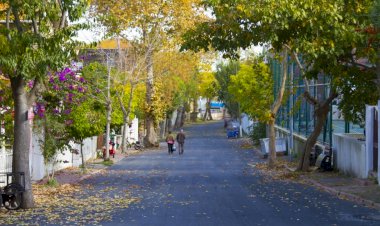 Deprem uzmanı Naci Görür: Adalar fayı çatırdıyor