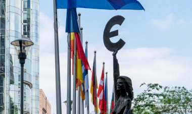 Schwäbische Zeitung: Dayanışma olmazsa Euro başarısızlığa uğrar