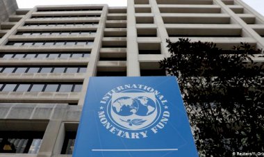 IMF devletlerin borçlarında patlama bekliyor