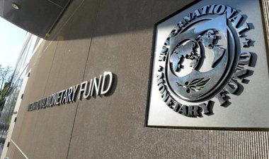 Capital Economics: Türkiye istese bile IMF anlaşmaya yanaşmayabilir