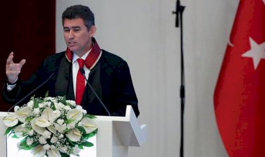 Metin Feyzioğlu, Erdoğan'ın yolunda; ya TBB?