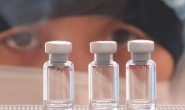 Oxford Üniversitesi üzerinde çalıştığı aşıyı Perşembe günü insanlar üzerinde denemeye başlayacak