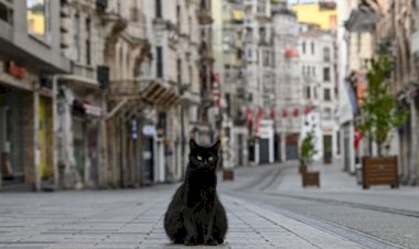 Sokağa çıkma yasağı başladı: 4 günlük yasakta kimler kapsam dışı, hangi iller için geçerli?