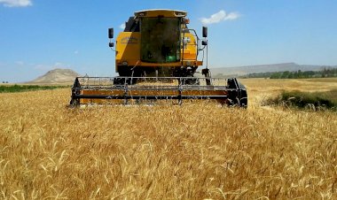 Uzmanlar Ukrayna’da 2020’de tahıl veriminde düşüş bekliyor