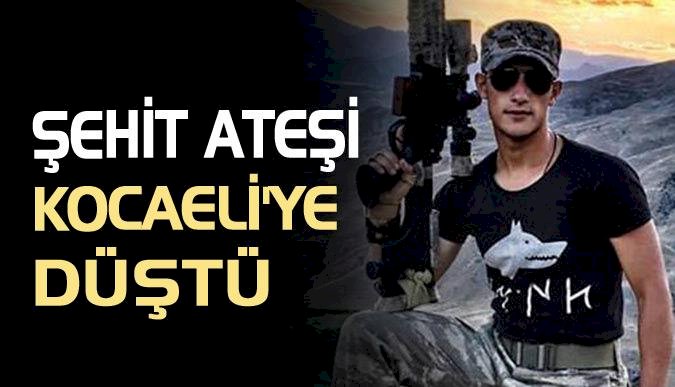Şehit ateşi Kocaeli'ye düştü