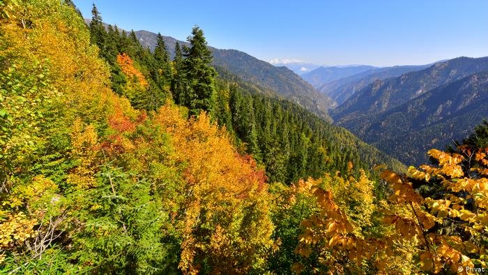 Artvin Hatila Vadisi'nde maden tehlikesi