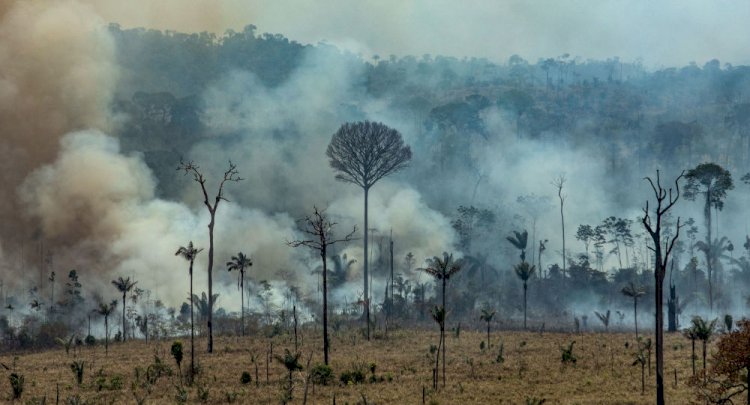 Brezilya Dışişleri Bakanı Araujo: Ülkemizi işgal etmek için Amazon yangınını kullanıyorlar