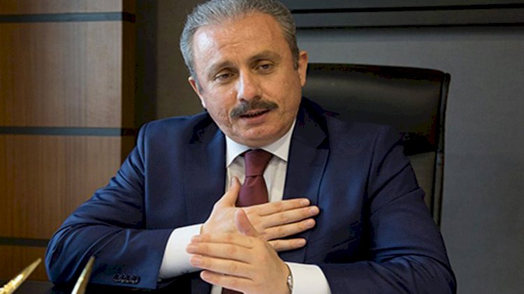 "Esasen sistem ittifaka mecbur etmiyor"
