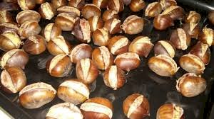Kestane gribe karşı koruyor