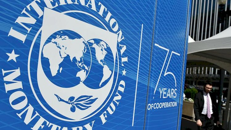 IMF Türkiye'den borç istedi mi?
