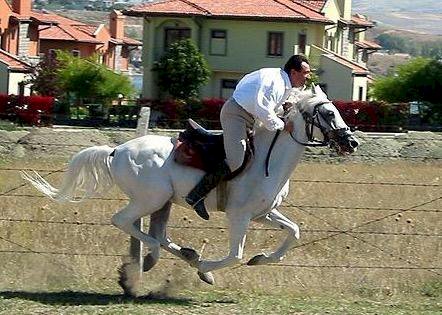 Muhsin Yazıcıoğlu - Üşüyorum