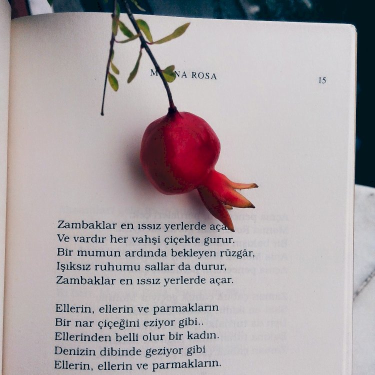 Mona Roza -  Sezai Karakoç