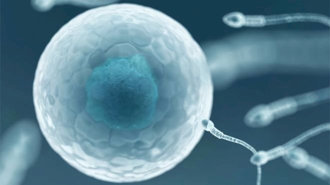 Dünyanın ilk HIV-pozitif sperm bankası Yeni Zelanda'da açıldı