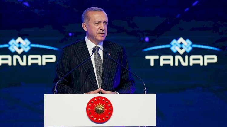 Erdoğan: Biz bu gemilerimizi oradan çekmeyiz