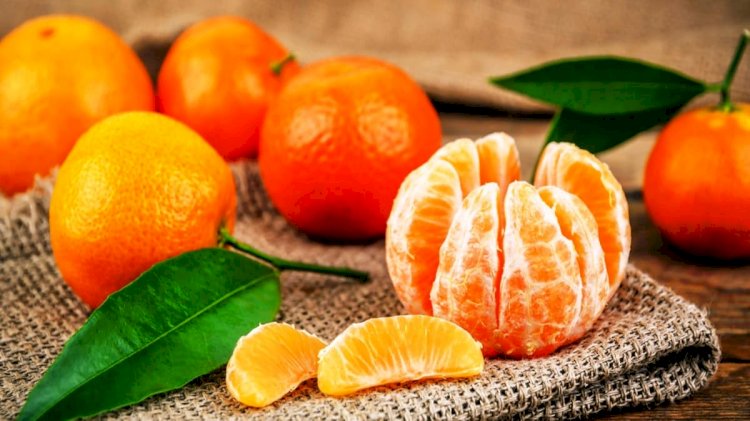 250 ton mandalina iade edildi