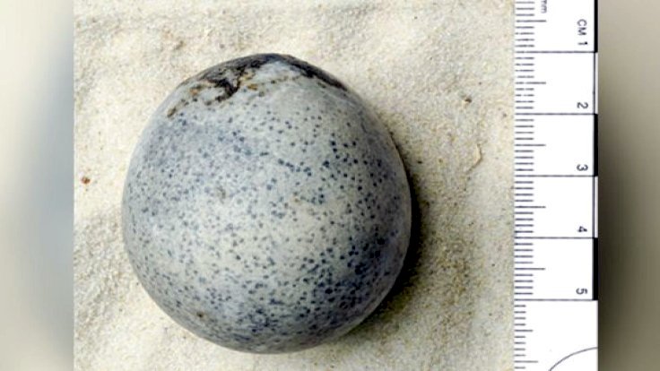 Arkeologlar yanlışlıkla 1700 yıllık yumurtaları çatlattı