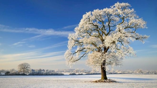 2019 kış gündönümü: En kısa gün tarih boyunca neden ve nasıl kutlandı?