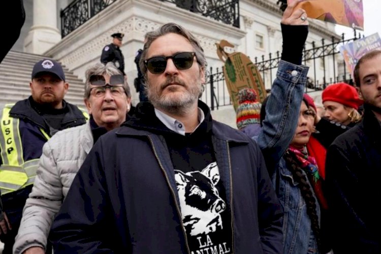 Joker’in başrol oyuncusu Joaquin Phoenix gözaltına alındı