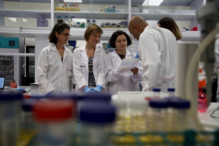 Kanserle Mücadelede Metastazdan Sorumlu Proteinler Yakalandı
