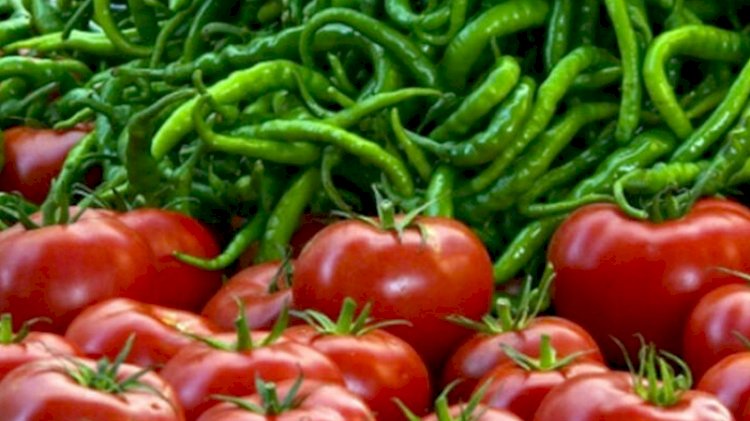 "Türkiye'de tüketilen biber, domates ve salatalıkların yüzde 15'i zehirli"