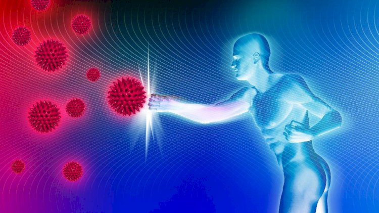 Bağışıklığı güçlendirmek için dikkat edilmesi gereken 5 madde