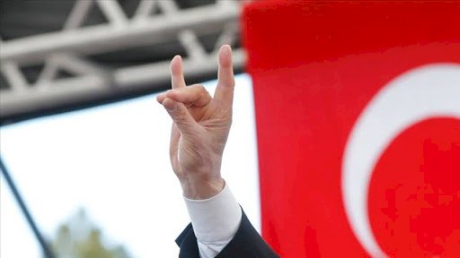 Viyana'da 'Bozkurt' işareti yapan 4 Türk'ün işine son verildi