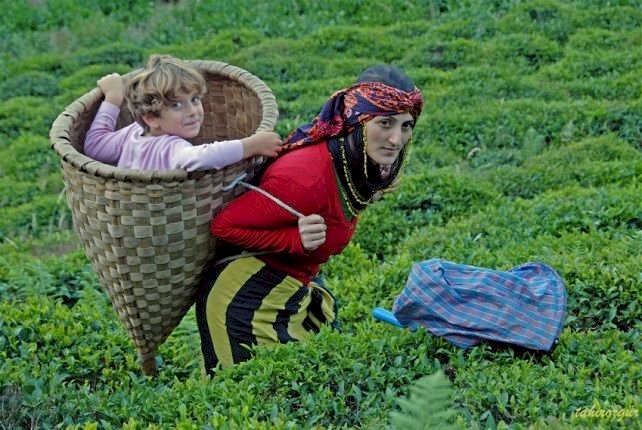 Murat Yeşildere’den Açıklama: “İşte, Evde, Sokakta Kadının Adı Olmalı”
