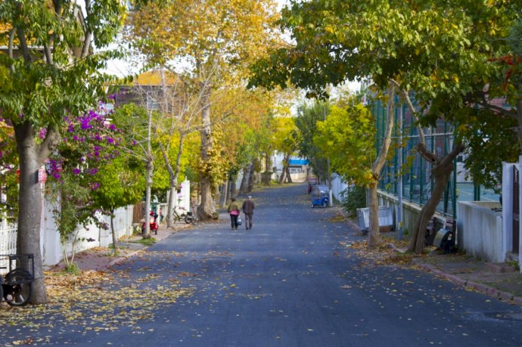 Deprem uzmanı Naci Görür: Adalar fayı çatırdıyor