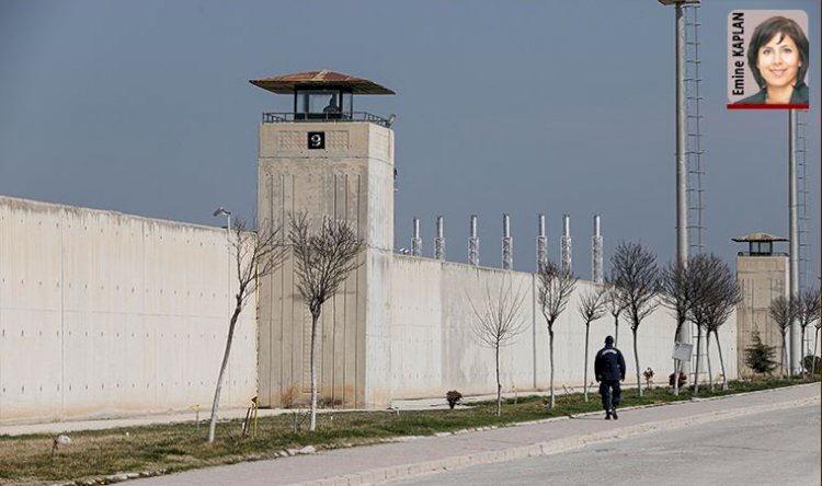 Virüs affı