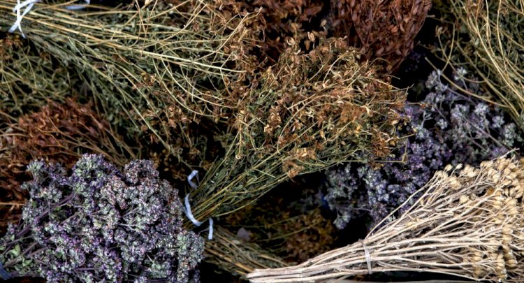Tibbiyot tashkilotlarida 1 maydan xalq tabobati xonalari ochiladi