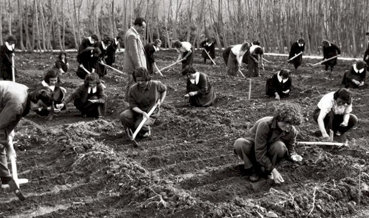 Köy Enstitüleri'nin 80'inci yılında öğretmen Sabriye İşler aydınlanma yolculuğunu anlattı