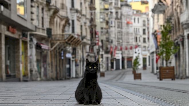 Sokağa çıkma yasağı başladı: 4 günlük yasakta kimler kapsam dışı, hangi iller için geçerli?